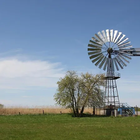 Apartmán Schicke Mit Terrasse, Gratis Nutzung Vom Ahoi Erlebnisbad Und Sauna In Sellin - Haus De Niege Wech 01 Thiessow
