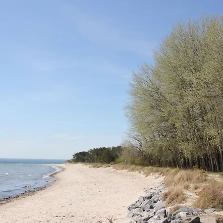 Schicke Mit Terrasse, Gratis Nutzung Vom Ahoi Erlebnisbad Und Sauna In Sellin - Haus De Niege Wech 01 Apartmán *